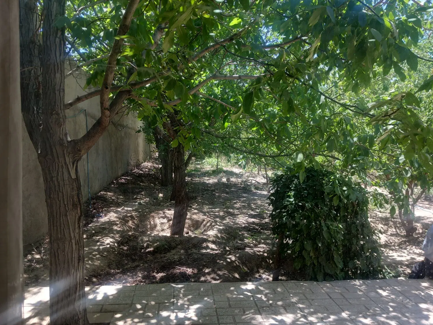 باغ ویلا