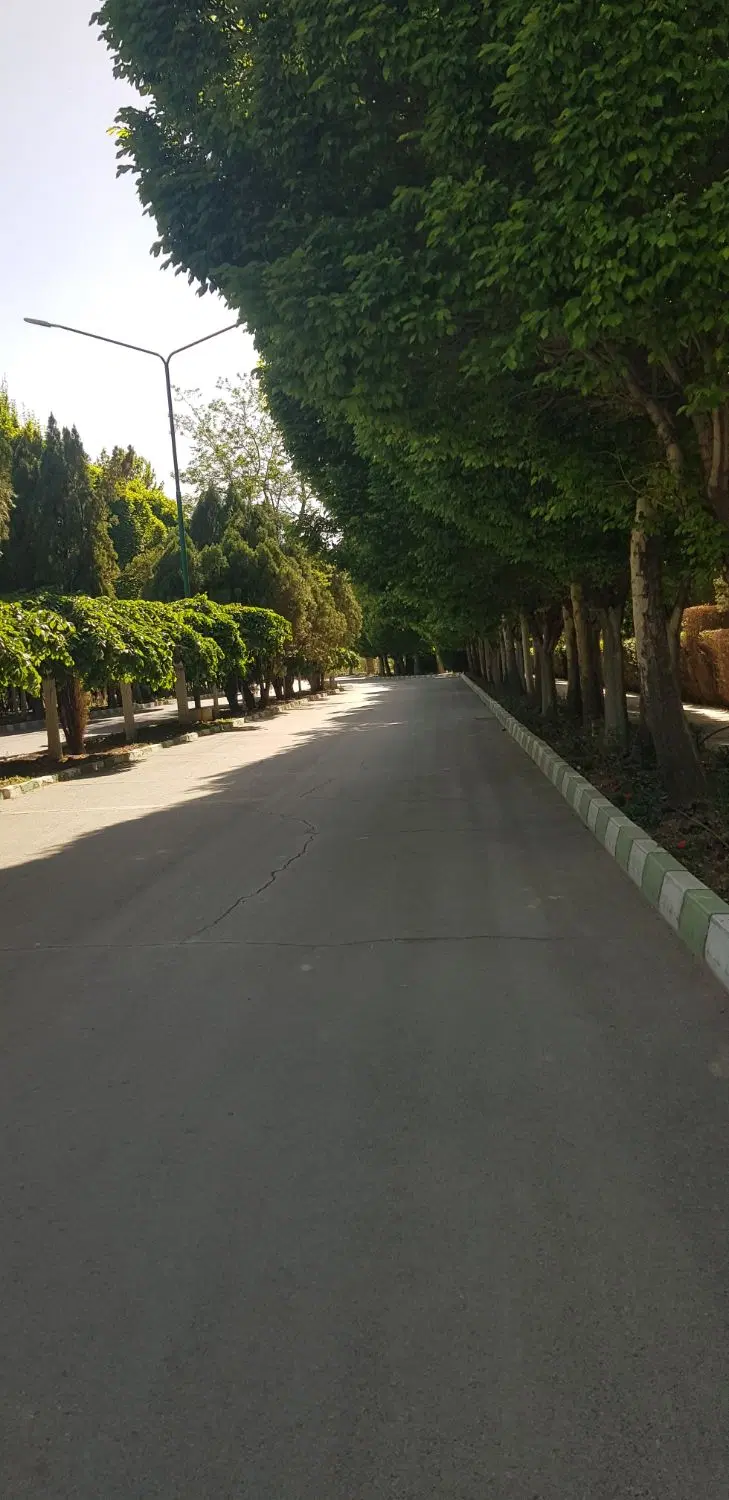 اجاره