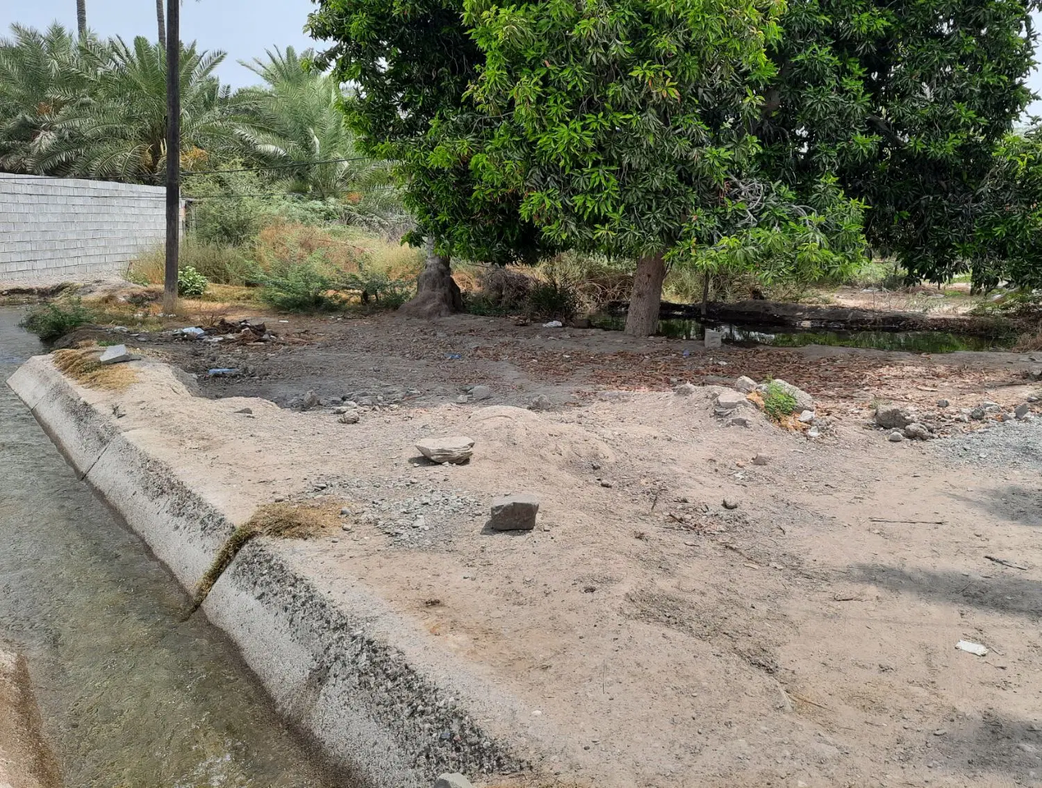 فروش باغ