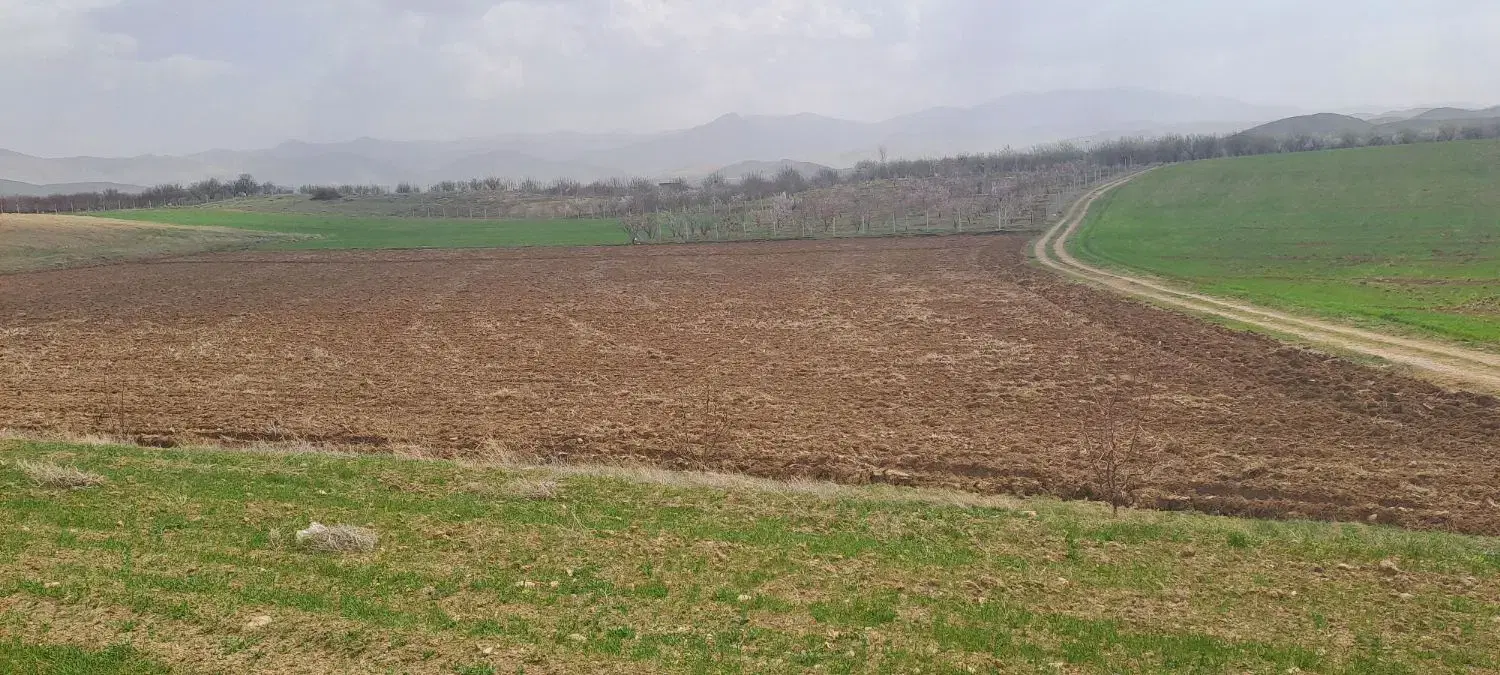 زمین کشاورزی
