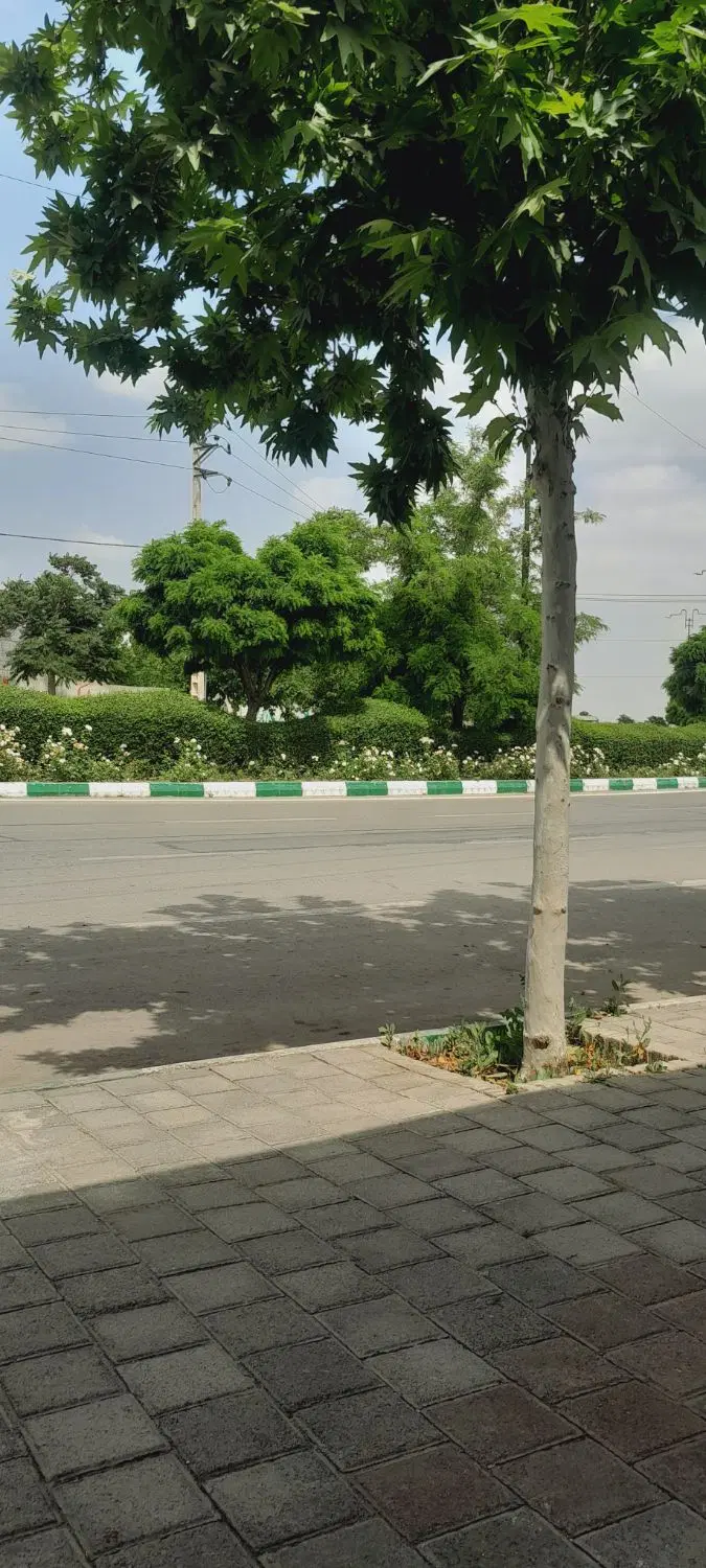 زمین ۱۰۰۰ متری شاندیز مجموعه گیلاس