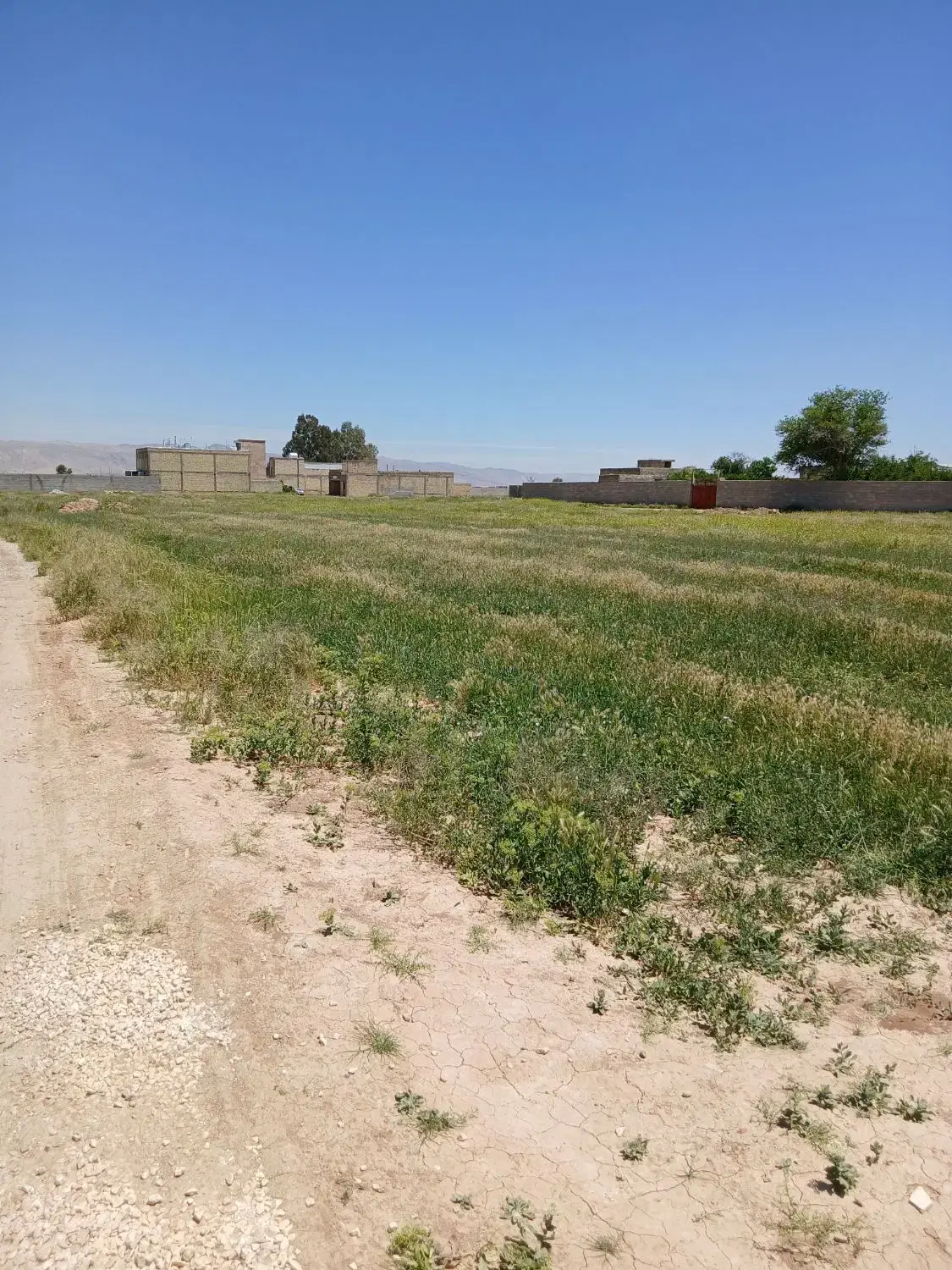 زمین ۲۵۰ متری شهرک دودمان