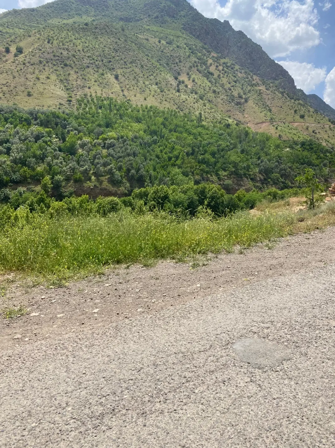 زمین در دواسب