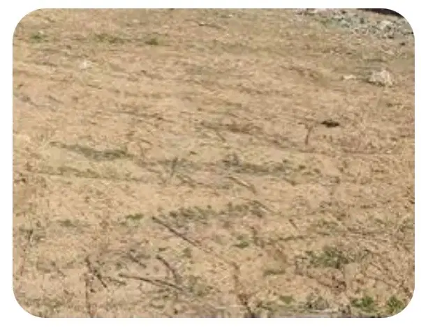 زمین فنس هوایی
