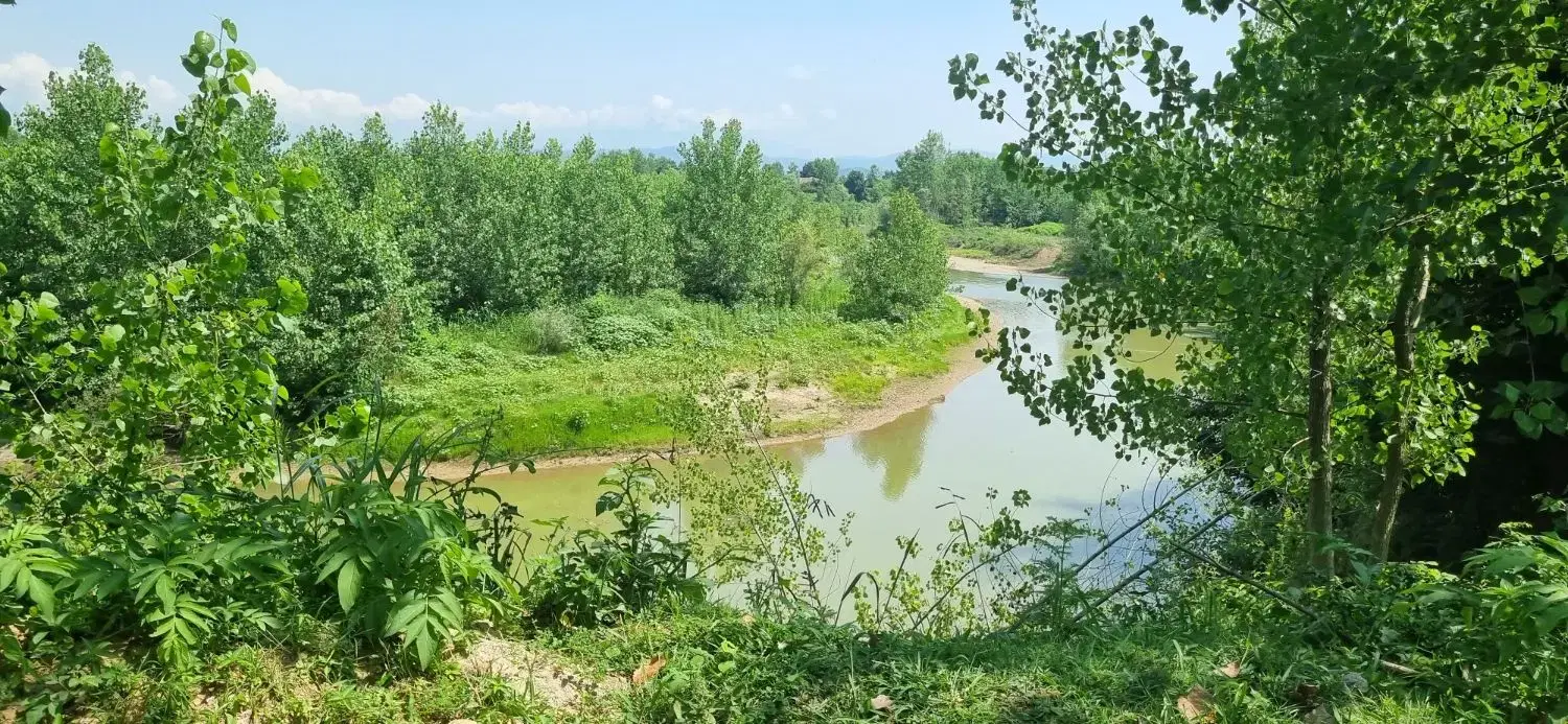 ۱۰۰۰ متر زمین در فضای بکر با ویوی طبیعت و رودخانه
