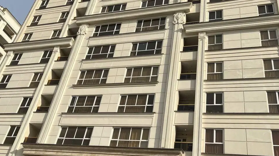 سهام پروژه پیروزی، رونیکا پلاس