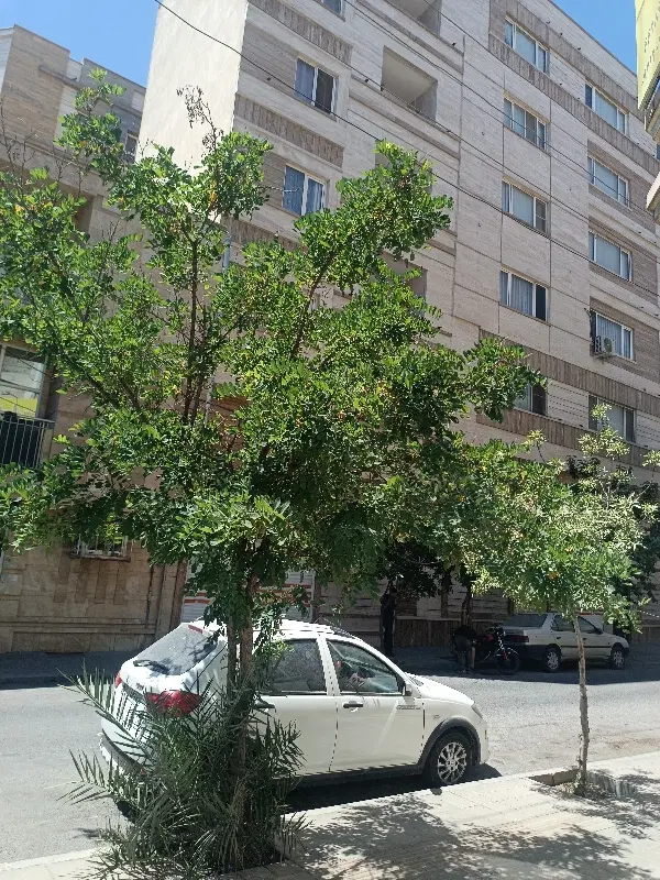رهن و اجاره آپارتمان 65متری در بهترین جای مهراباد