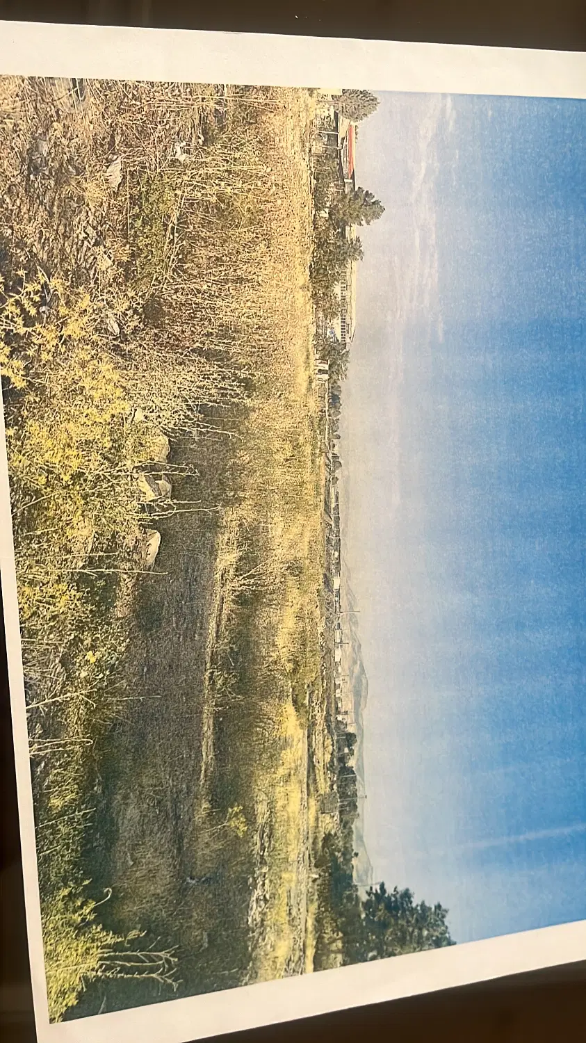 زمین باغی