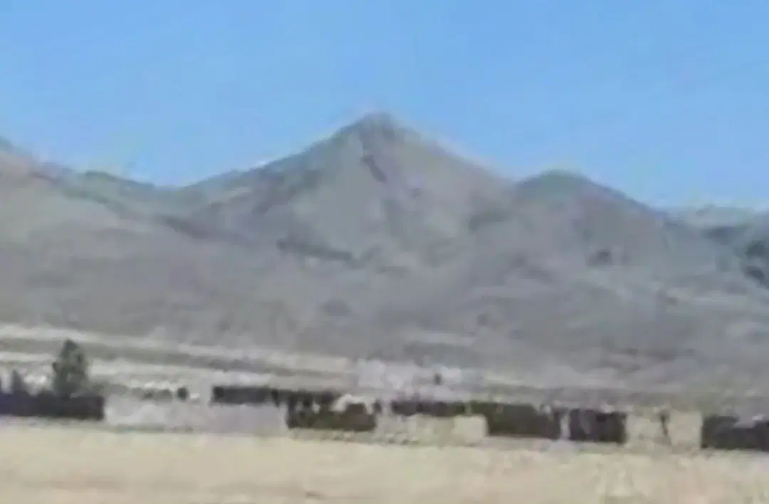 زمین شهرک سبز