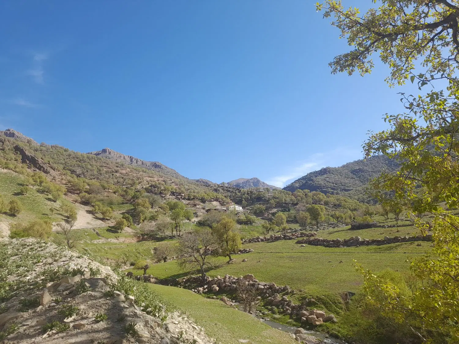 فروش زمین درروستای چغابدار