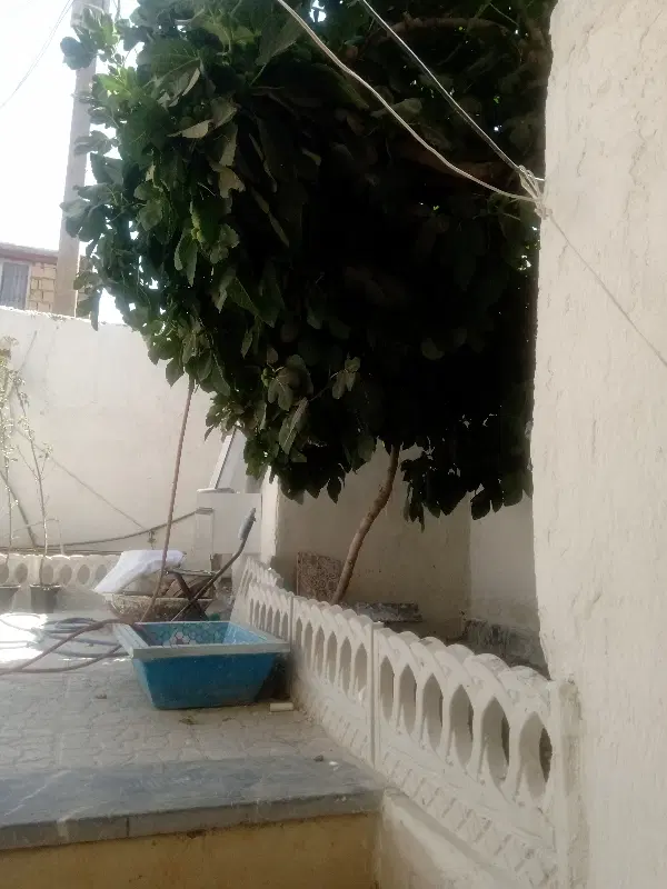 رهن اجاره ۲۵۰متری قیمت مناسب