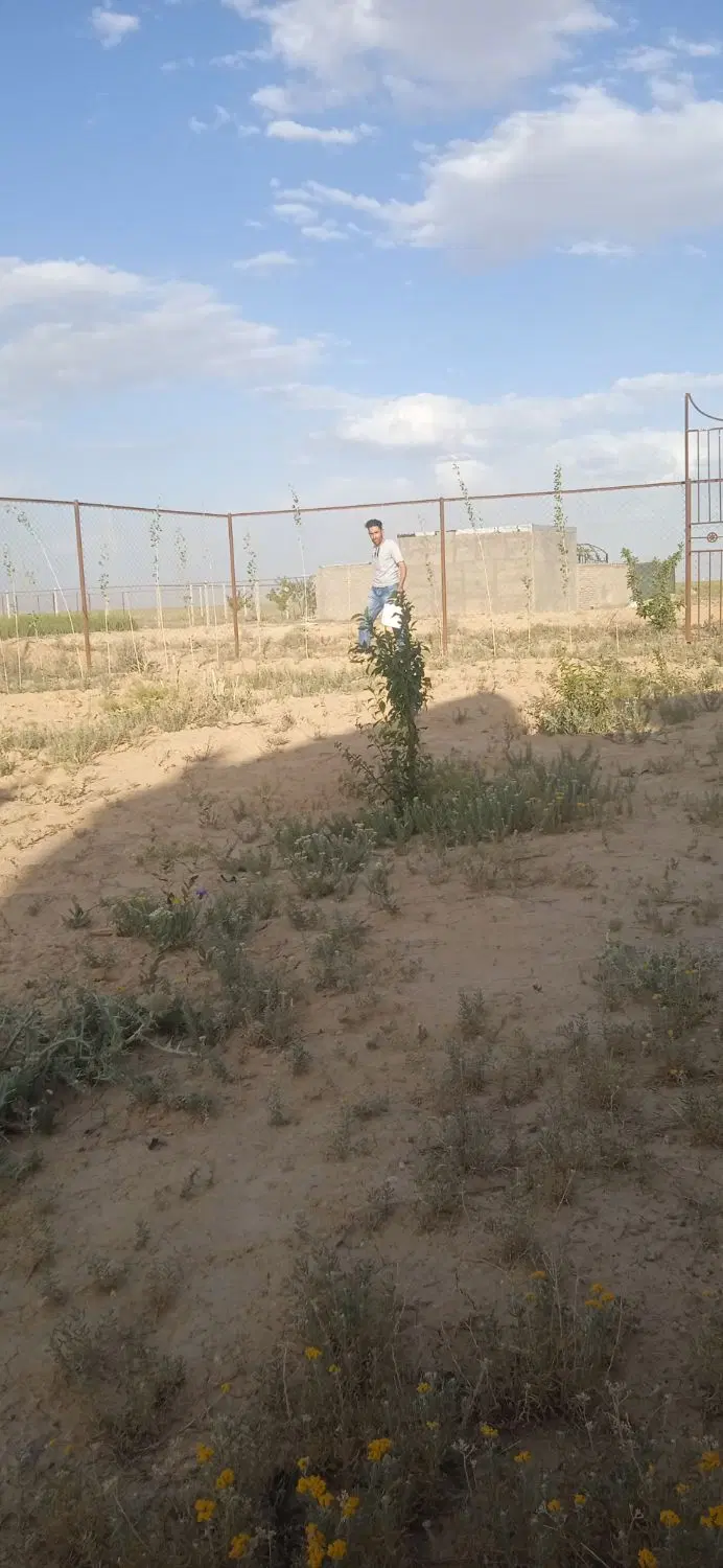 زمین باغی گاوخونه