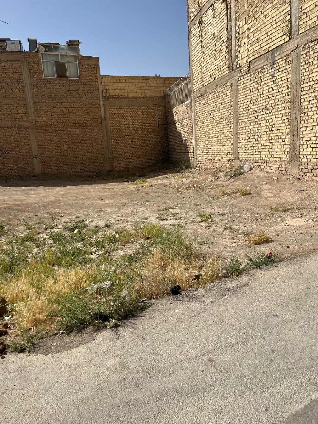 ۱۹۵زمین حافظ غربی