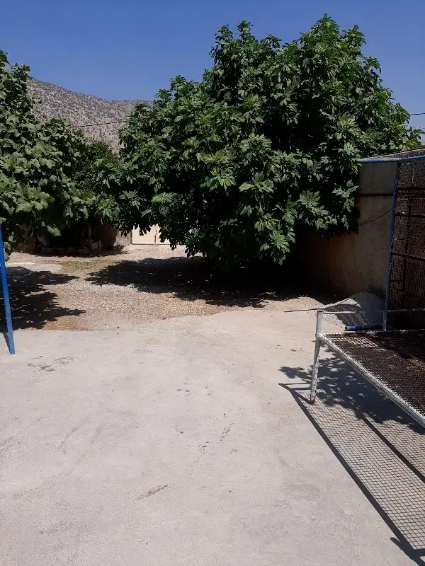 زمین مسکونی فرهنگیان