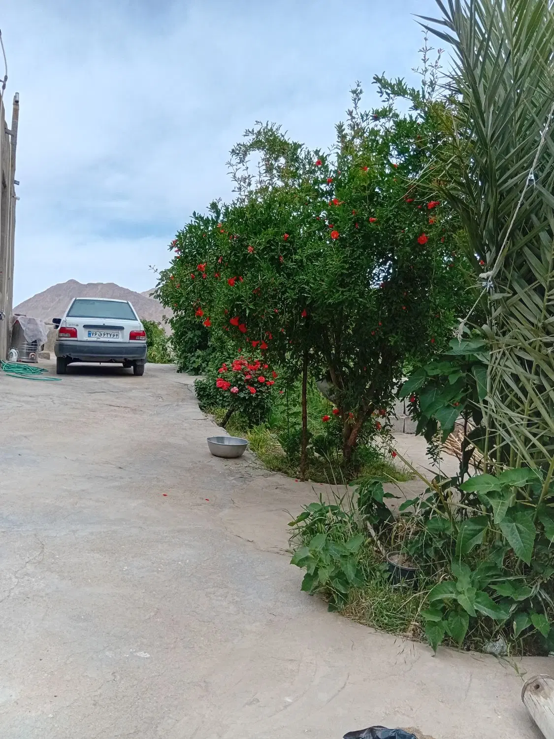باغ منزل