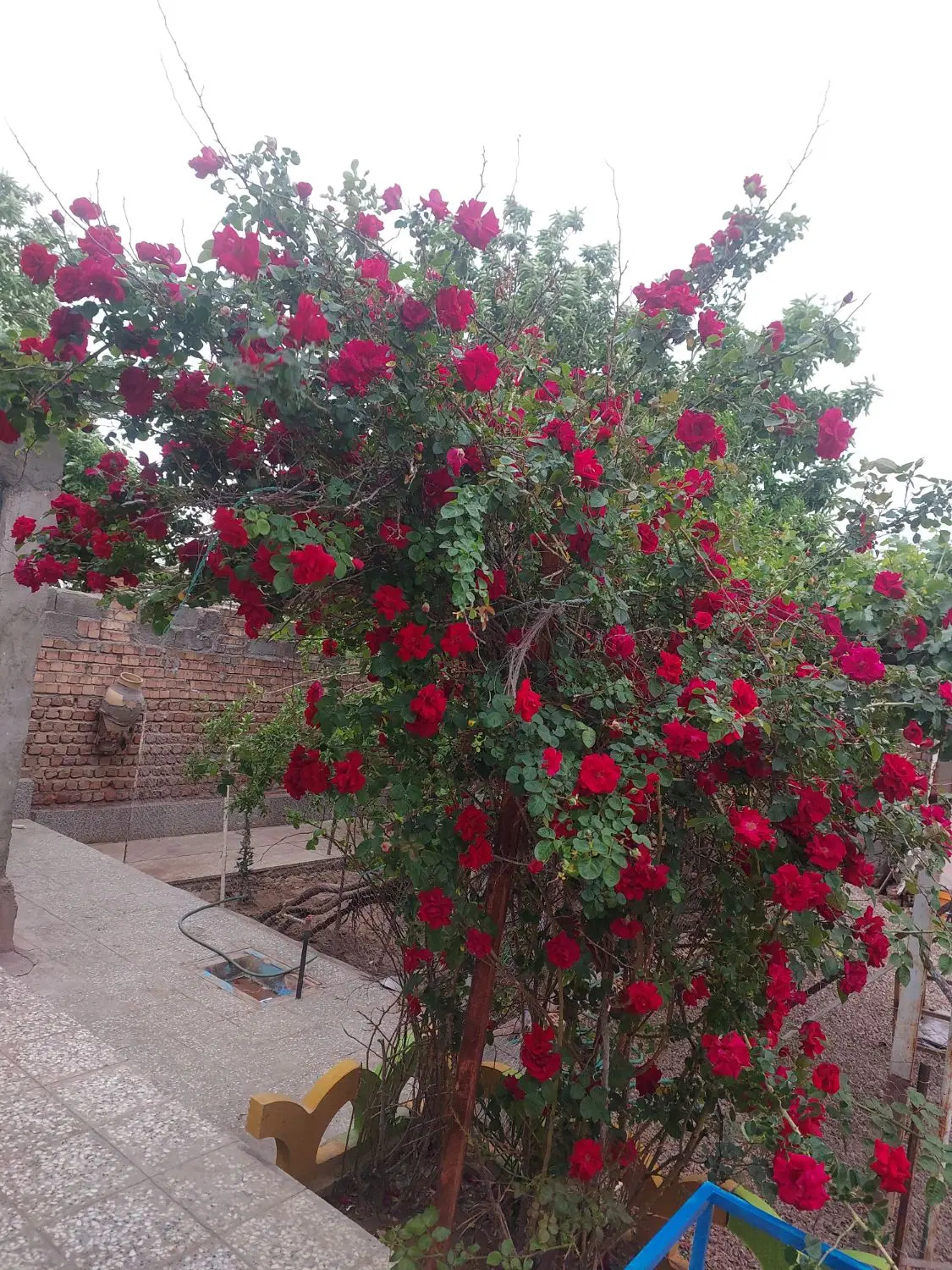 فروشی خانه در فیروزاباد