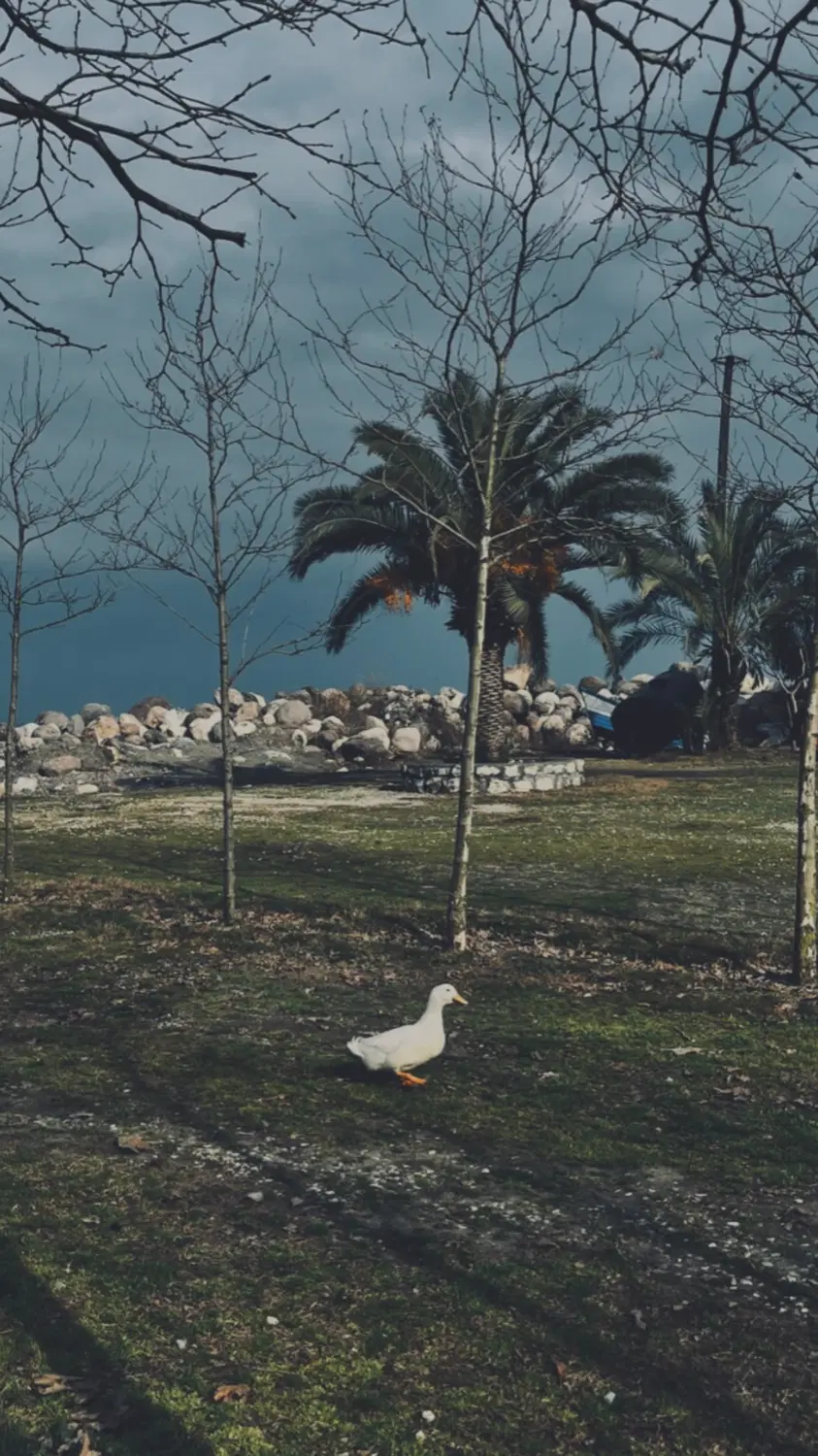 باغ ۱۰۰۰ متری میانچال