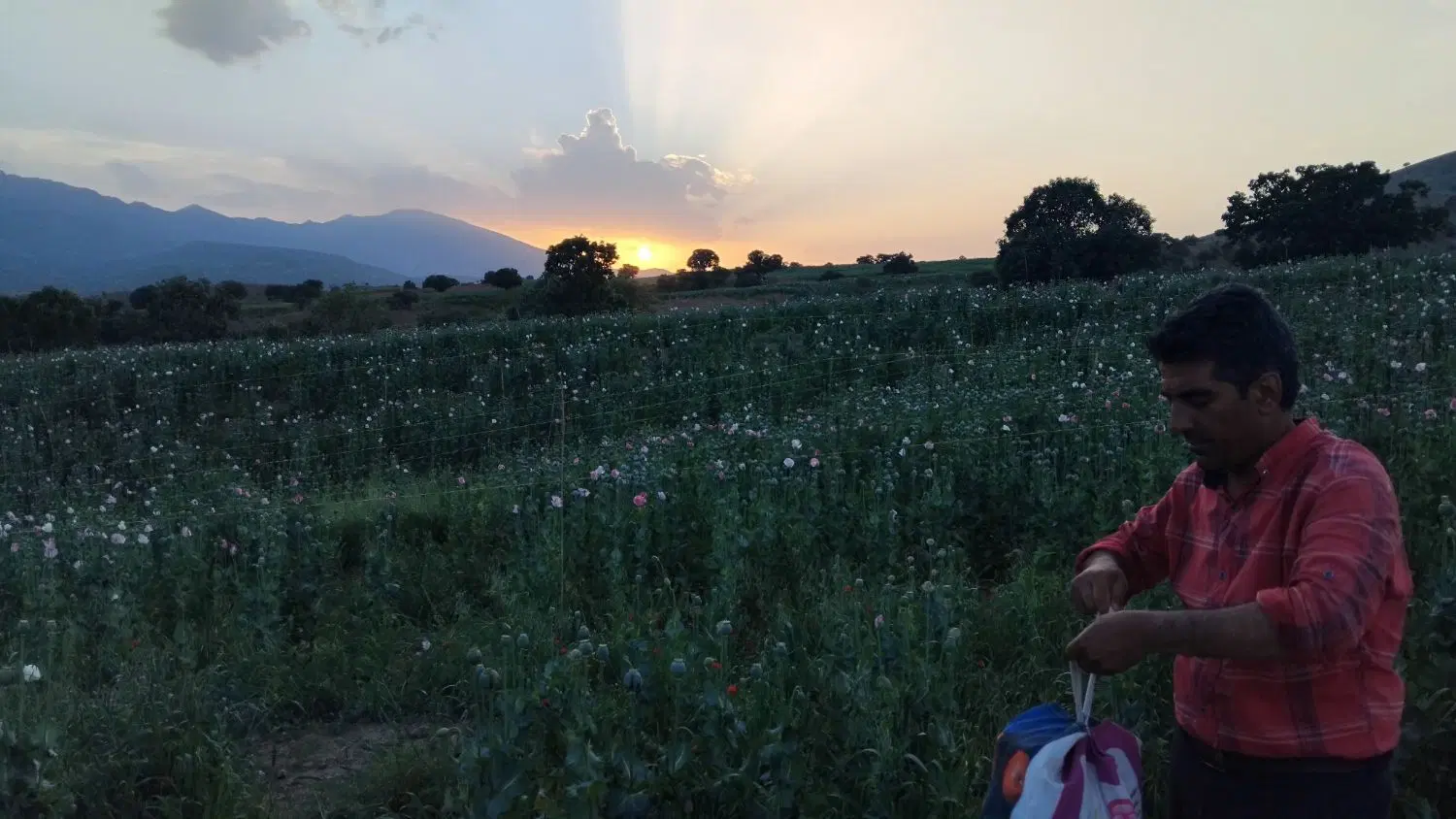 اجاره ساختمان ویلایی