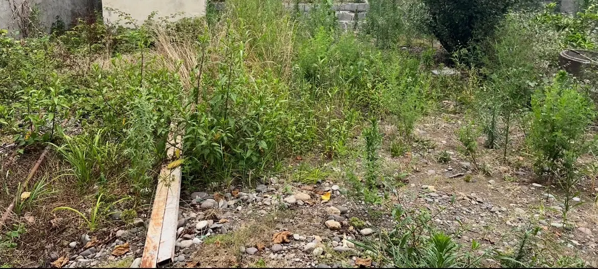 ویلایی ۳۱۲ متراژ ۸۰ بنا تک برگ سند