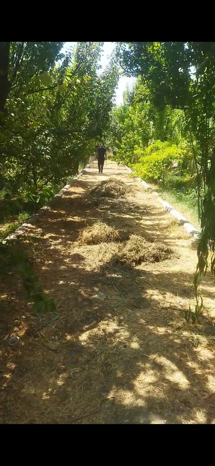 ۶۰۰مترباغچهاردیواری لم آبادرضوان تهاتربافازاندیشه
