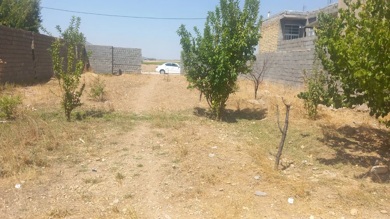 ۶۰۱ متر زمین سند تک برگ ساحلی شرف آباد