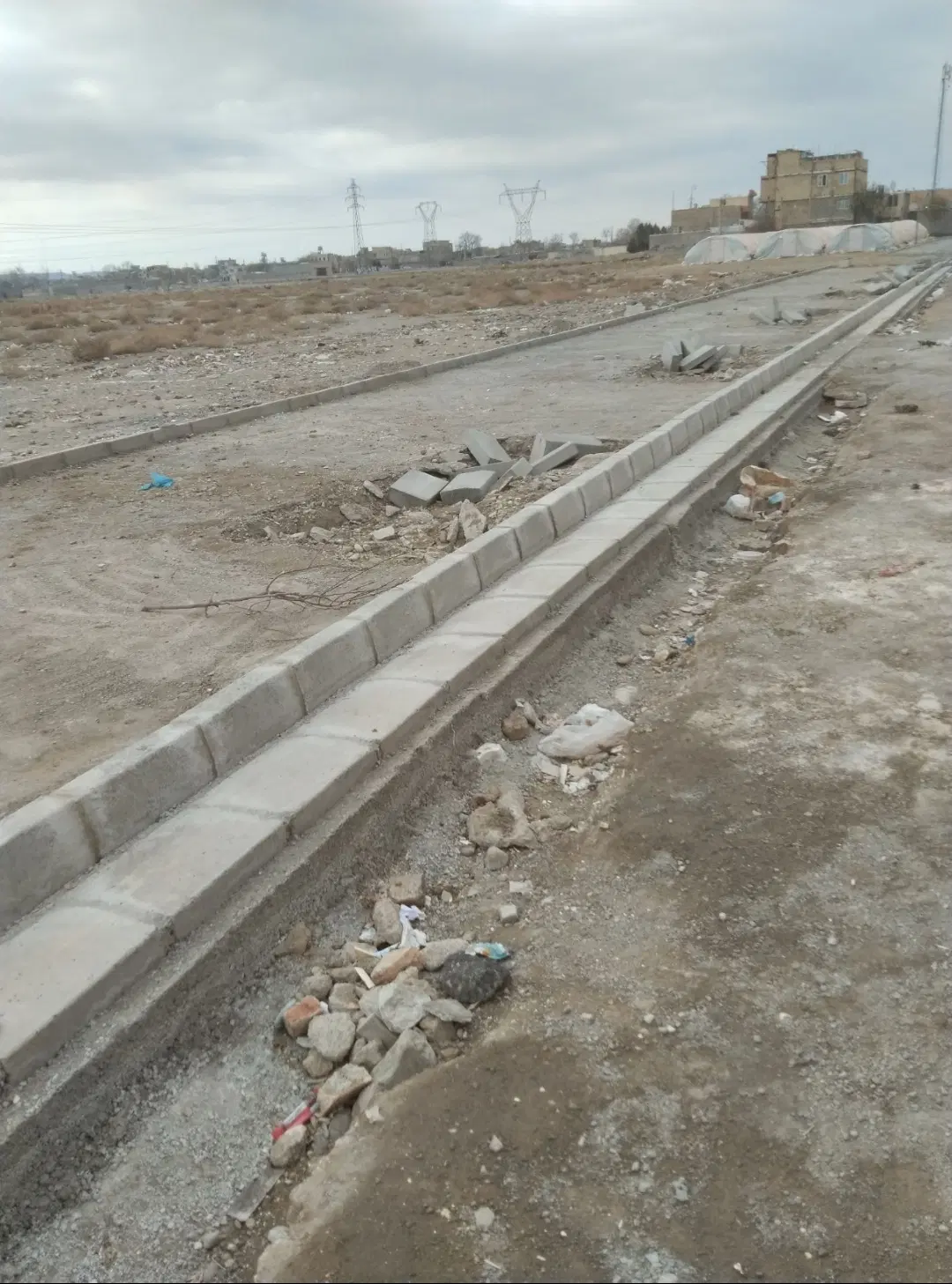 زمین سند تک برگ