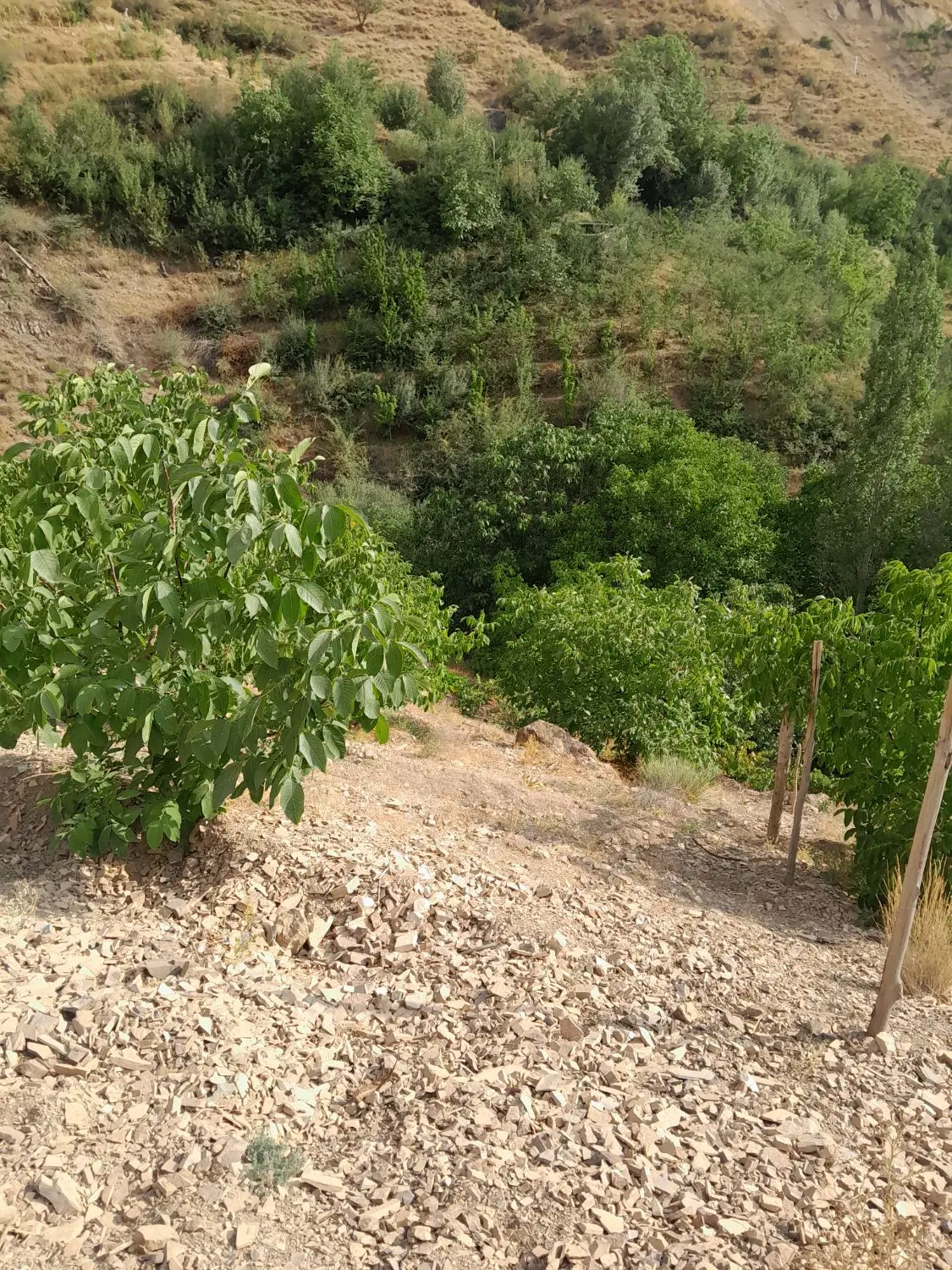 فروش وقابل تها تر با ساختمان والباقی وجه نقد