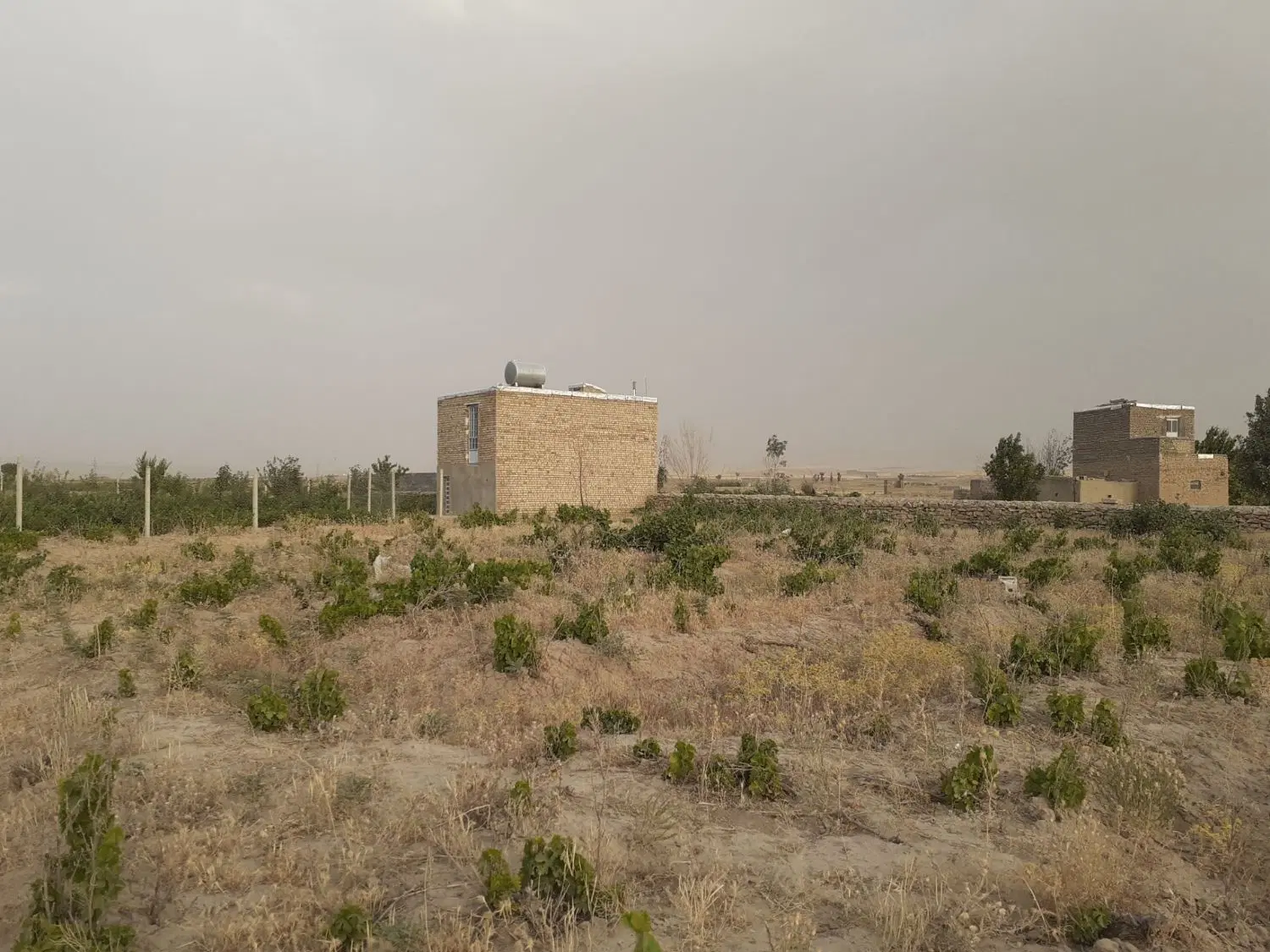 زمین باغی درسرخ آباد