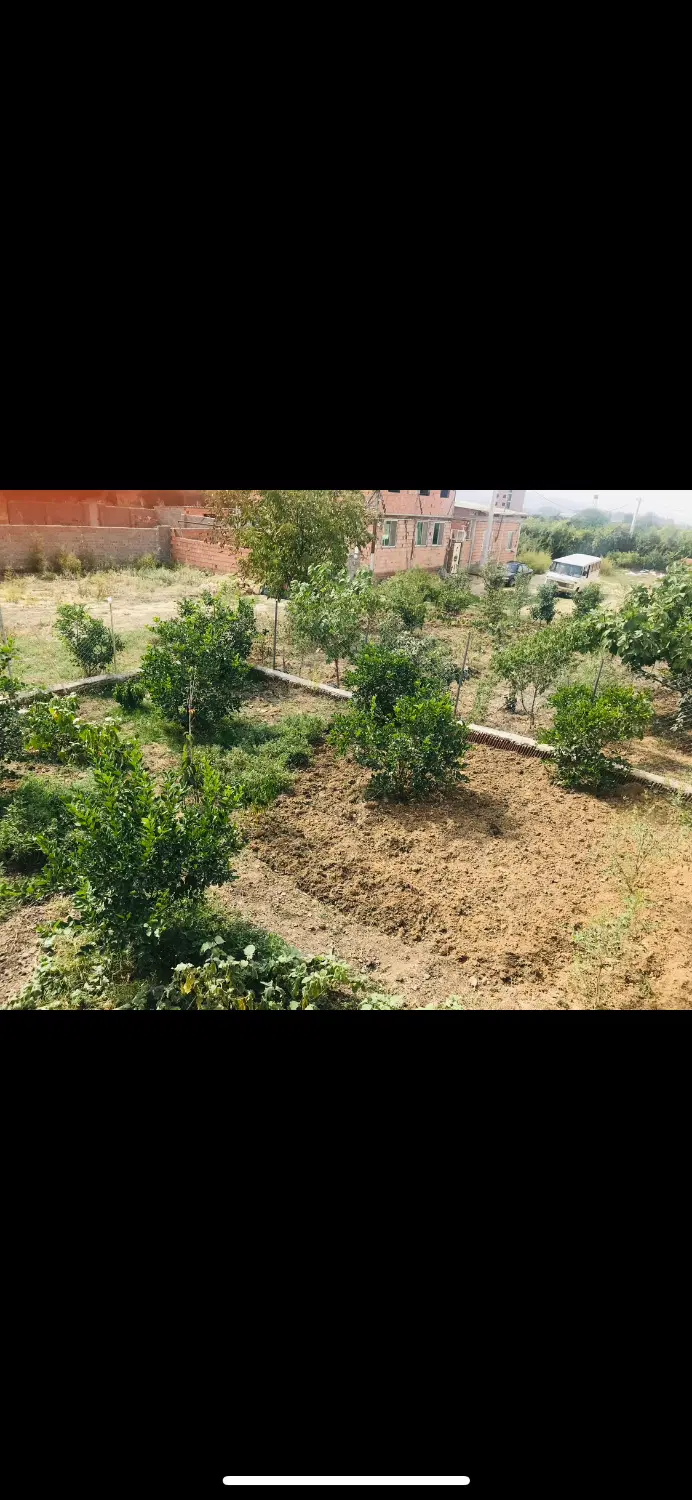 زمین مسکونی