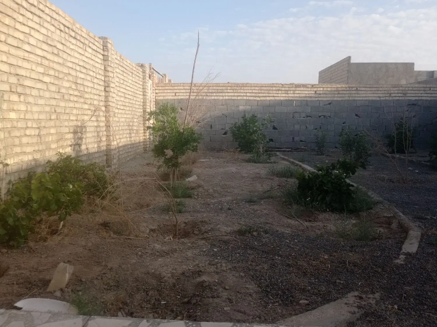 فروش باغ