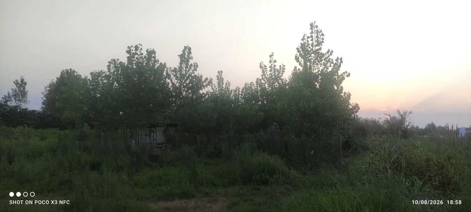 زمین 250 متری در بجارپس