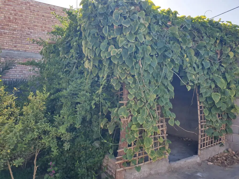 منزل کلنگی