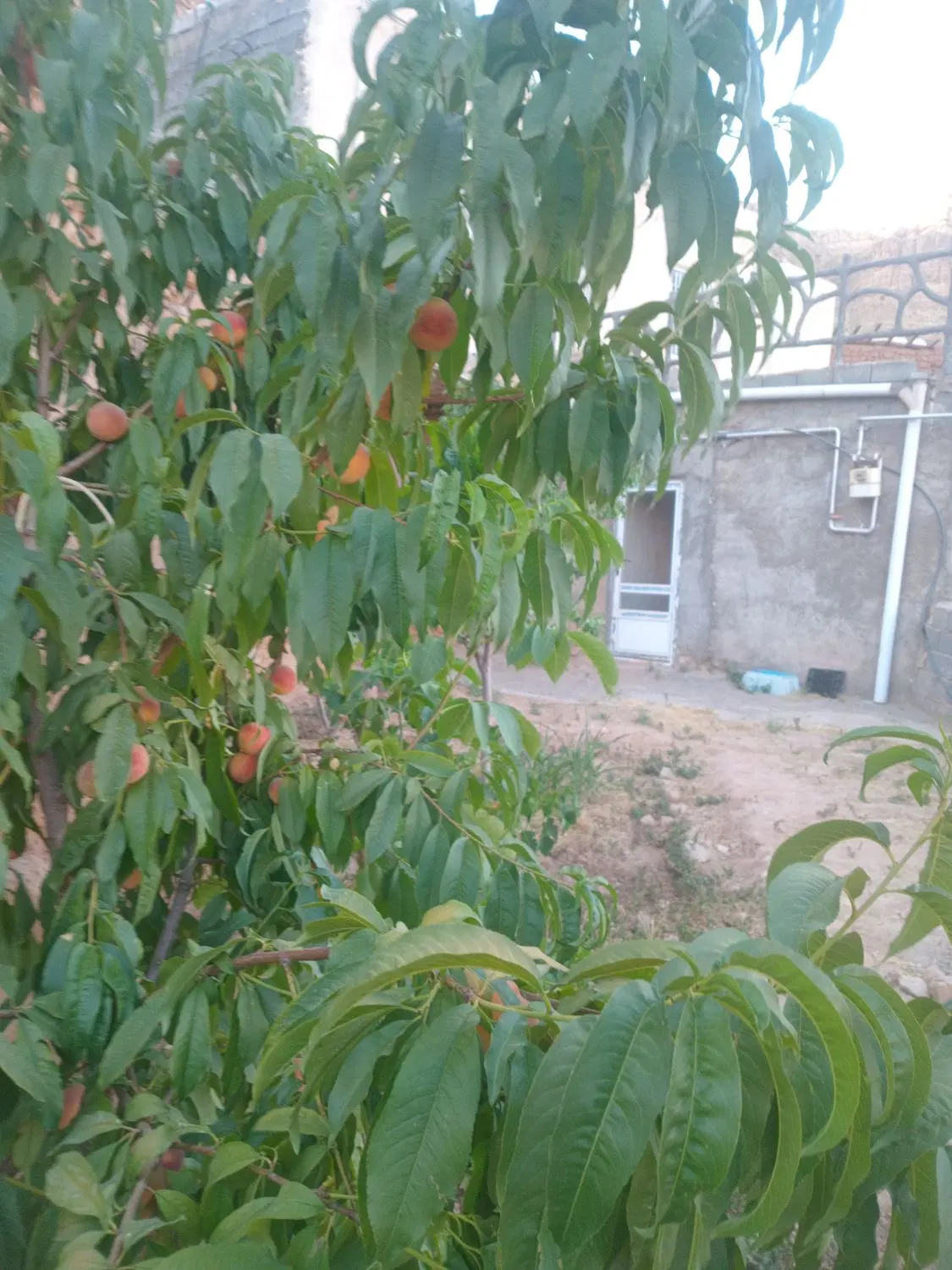 خانه ویلایی گلیان