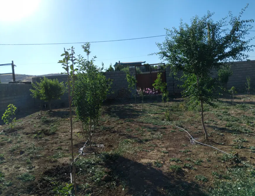 فروش باغ طرح هادی