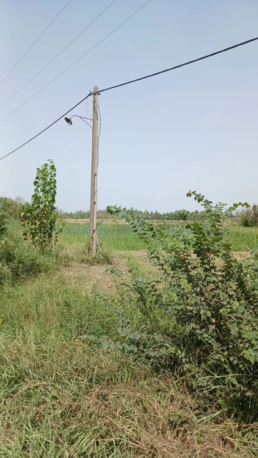 زمین مسکونی  . نزدیک به شهر شفت