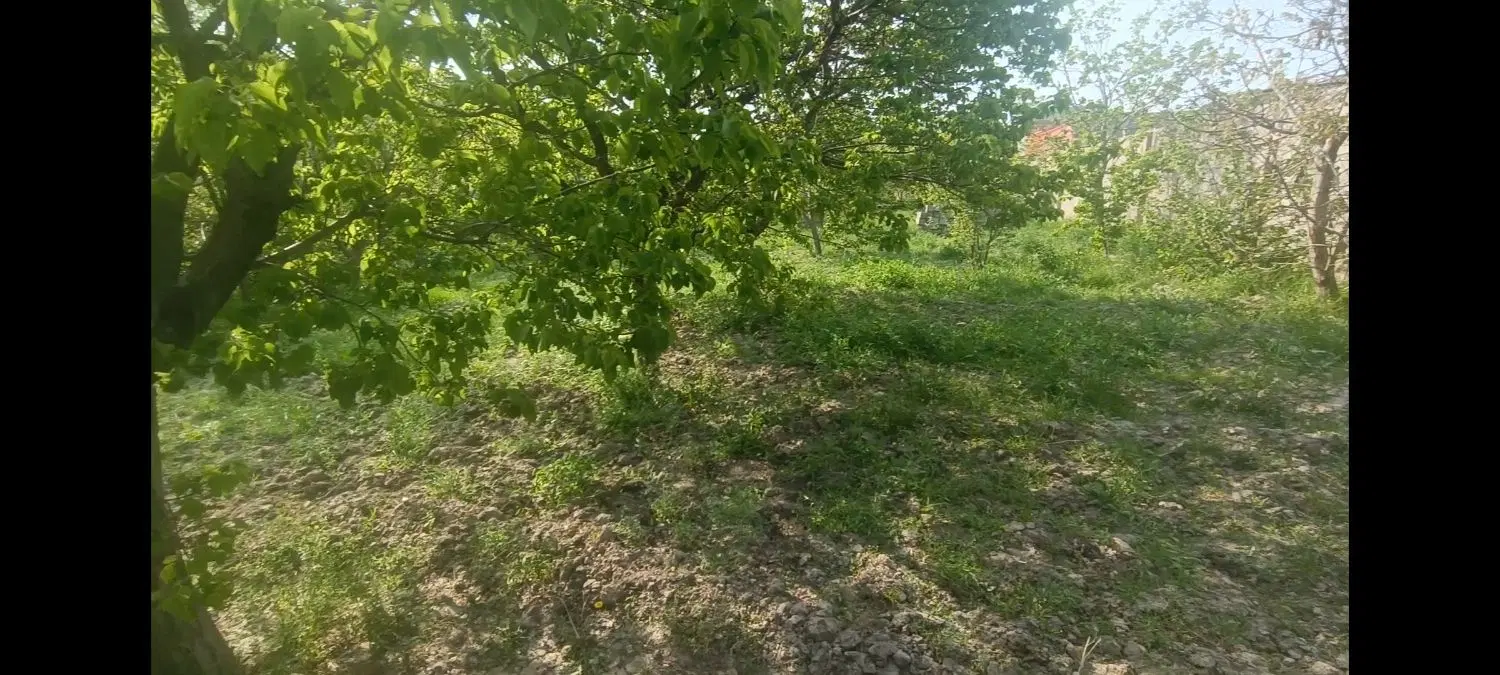 ویلا به همراه خونه درختی
