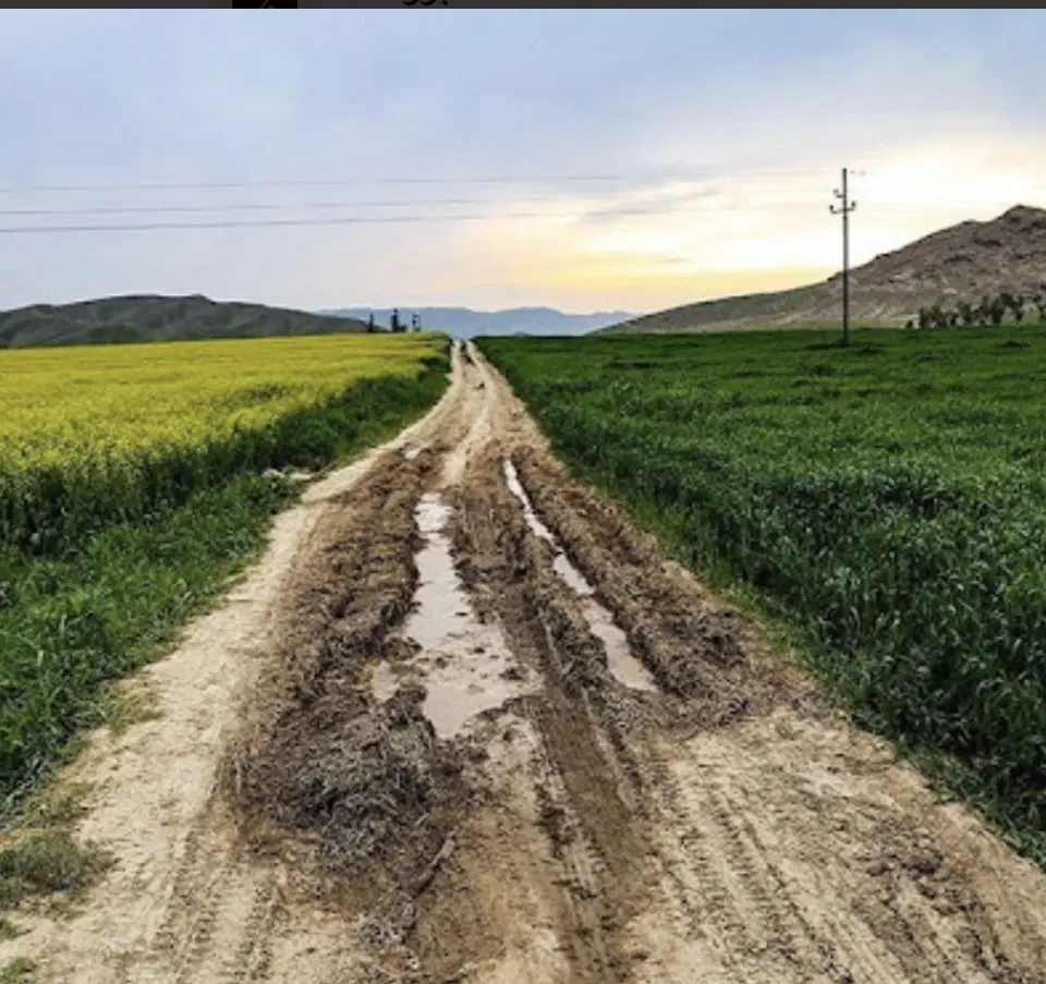 زمین کشاورزی