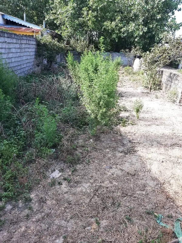 زمین‌ مسکونی ۲۲۵متری با سند تک‌برگ