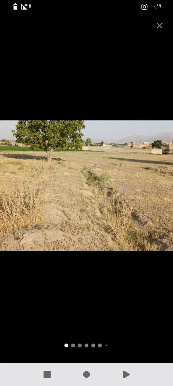 دلویی