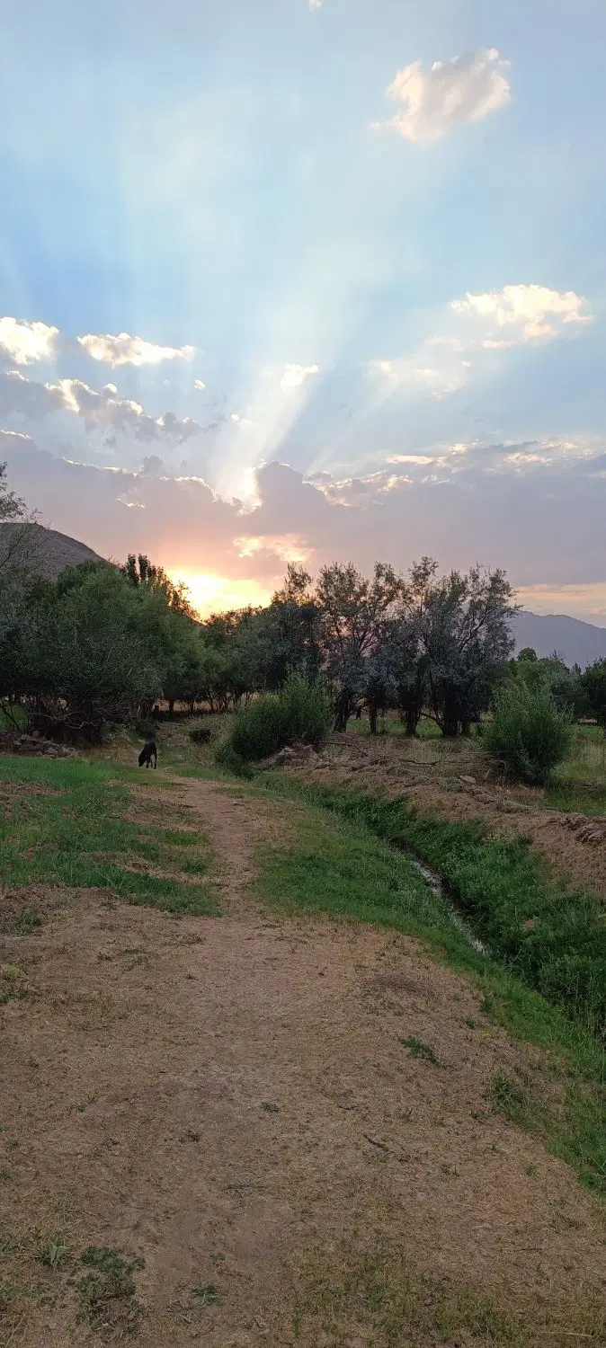 زمین الغدیر_ابتدای غدیر2_سه برنور جنوبی غربی وشرقی