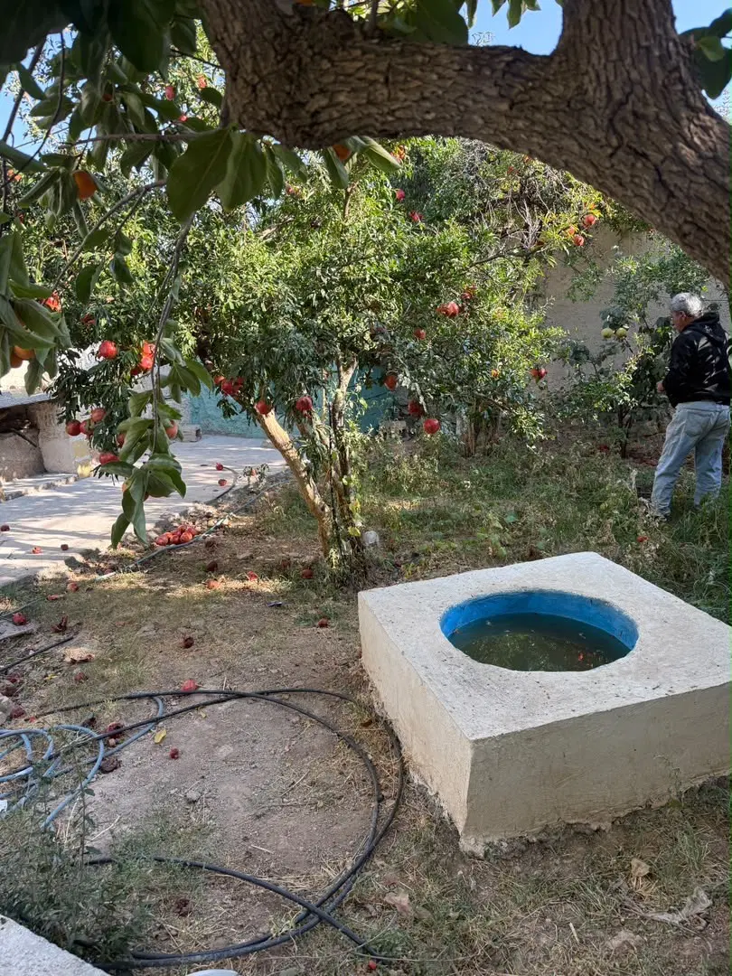 خونه حیاط دار قلات