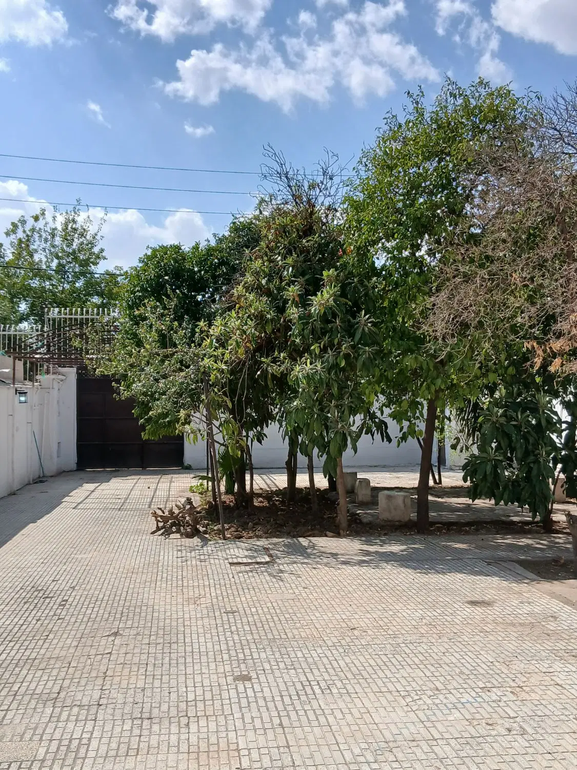 اجاره ویلایی