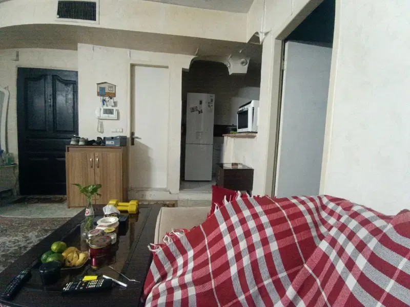 هم‌خونه