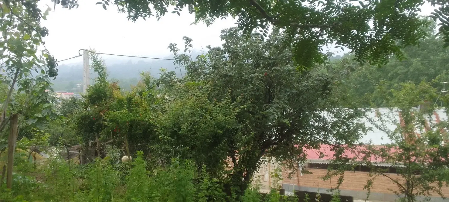 املاک