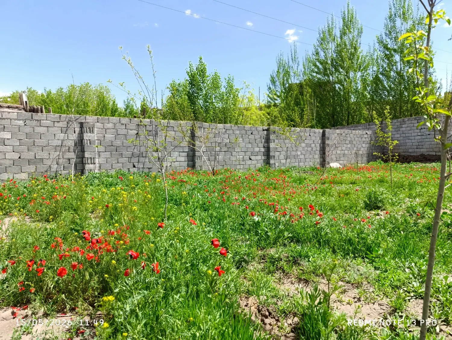 زمین ویلائی در منطقه خوش آب و هوایی باسمنج