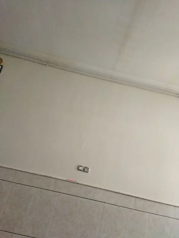 مغازه