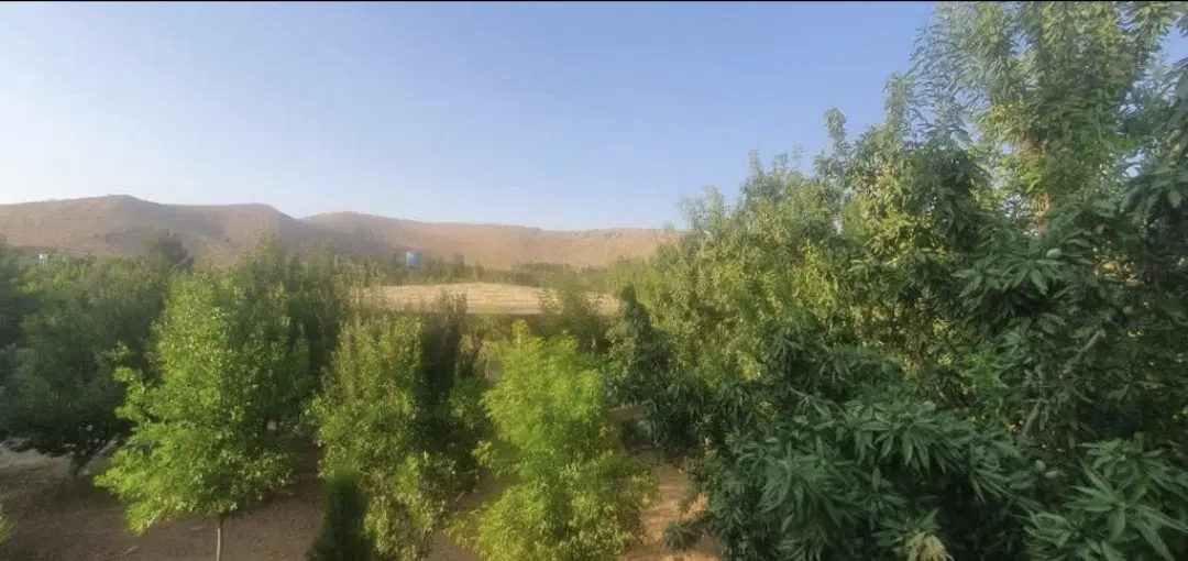 رهن و اجاره باغچه باغ قصردشت با سویت_ مناسب زندگی