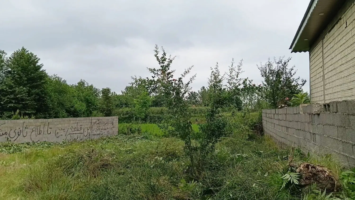 زمین مسکونی درفومن گشت گوراب