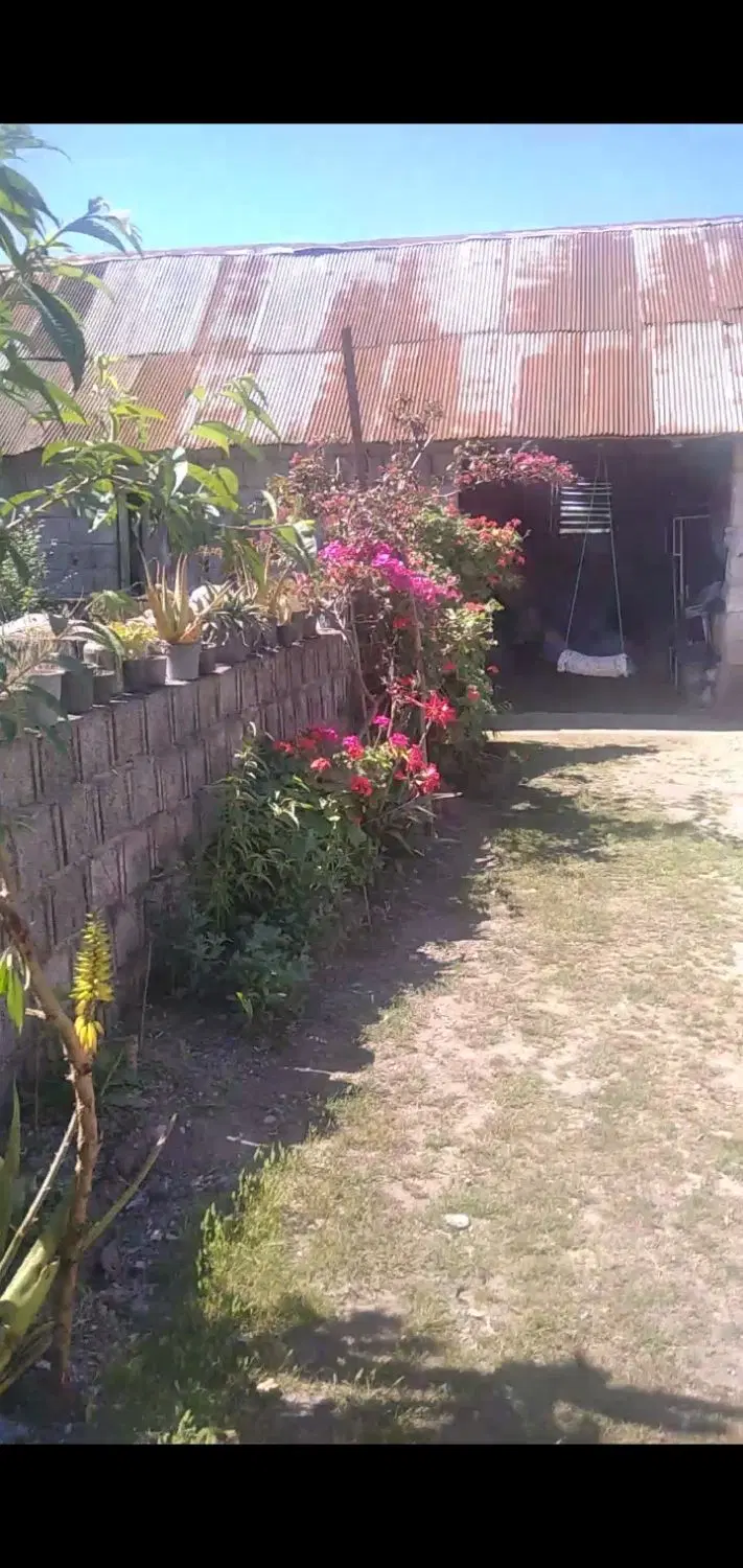 زمین مسکونی