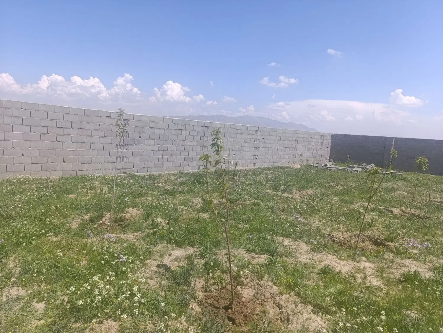 باغ حصار شده در نعمت الله